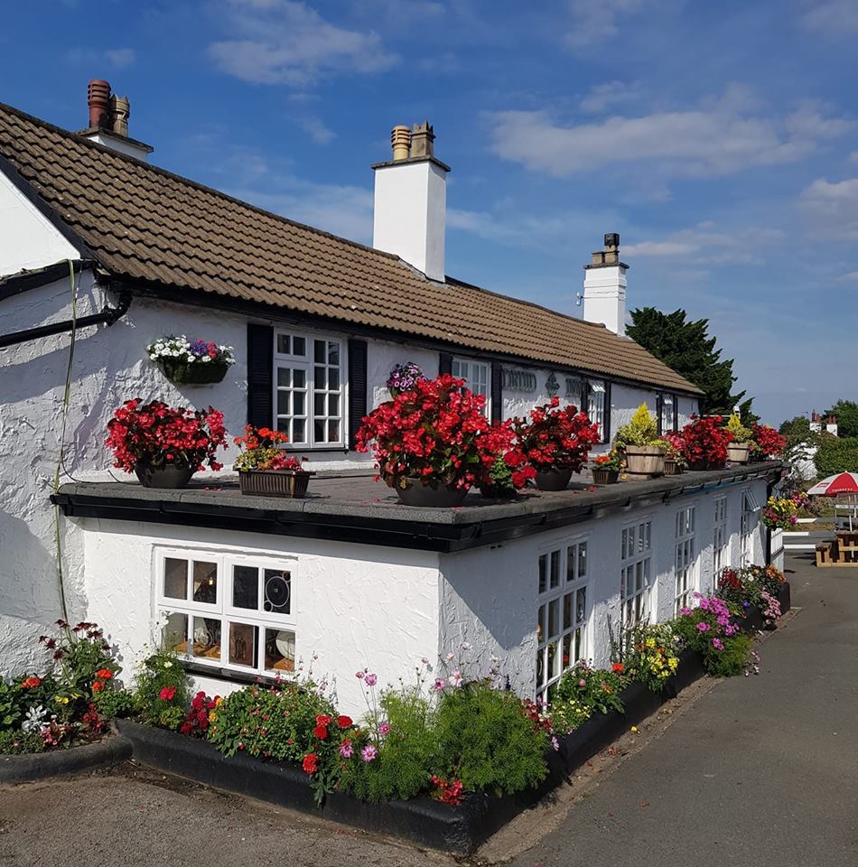 Druid Inn Gorsedd